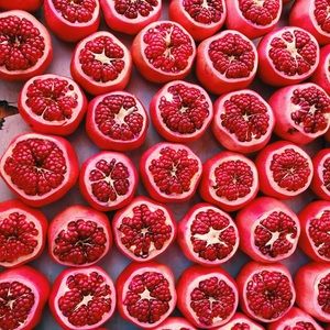 Meet your Posher, Zia